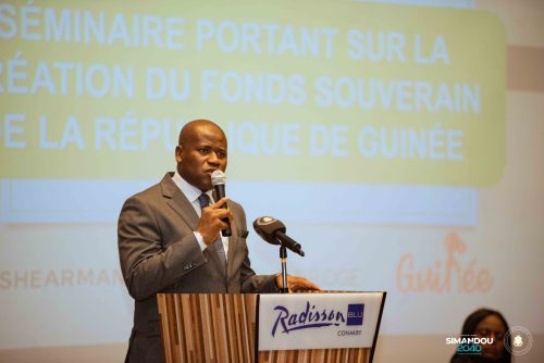 Programme Simandou 2040 : Vers la création du Fonds souverain de la République de Guinée