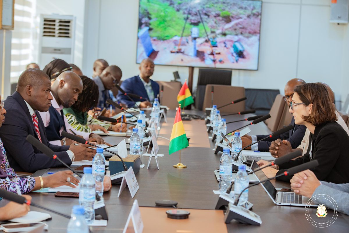 MPCI : le Ministre Ismaël NABE préside une séance de travail avec l’AFD Guinée