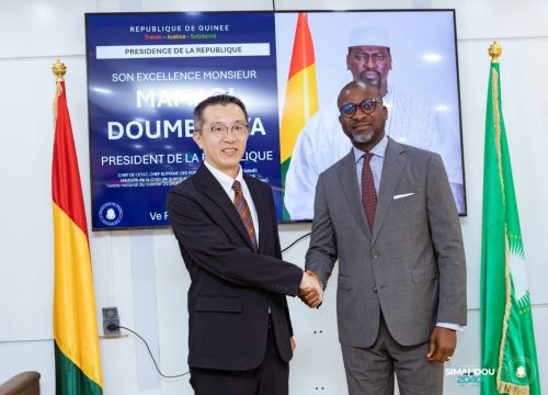 Guinée–Japon : Bâtir ensemble un développement durable
